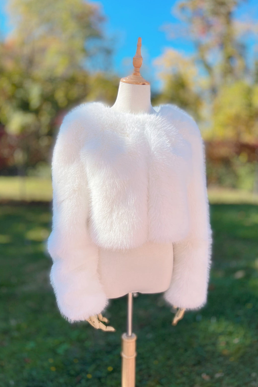 Icegrey Women's Winter Faux Fur Jackets for Wedding Evening Party Bride  Coats Ivory : : Clothing, Shoes & Accessories